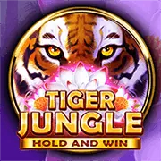 An toàn và Công bằng tại shbet5