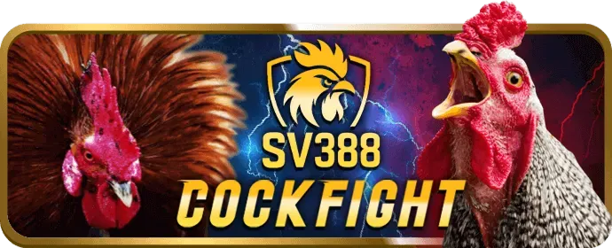 Các chương trình khuyến mãi và ưu đãi tại shbet5