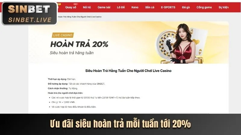 Lợi ích khi lựa chọn shbet5